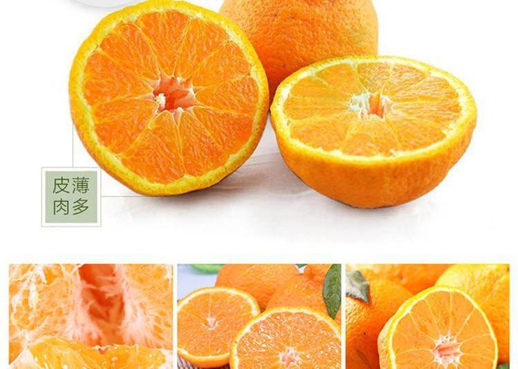 丑橘组图