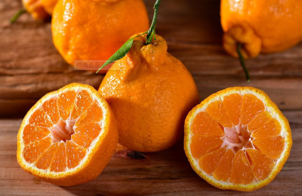 真丑橘